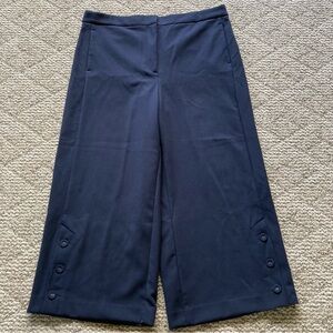 Ann Taylor Navy Blue The Marina High Rise Cropped Pants 14 only worn twice.